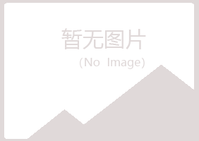 嘉峪关夏青化学有限公司